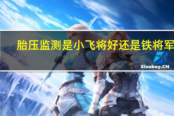胎压监测是小飞将好还是铁将军好