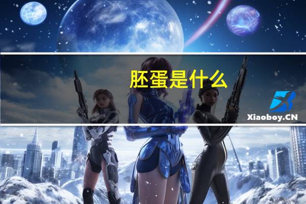 胚蛋是什么