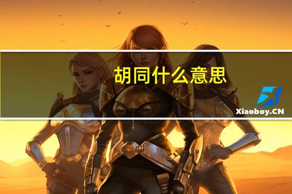 胡同什么意思