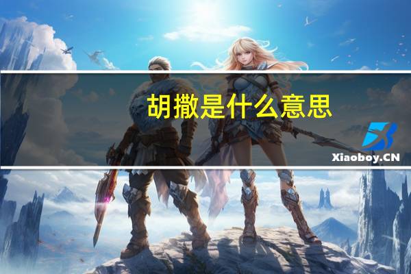 胡撒是什么意思