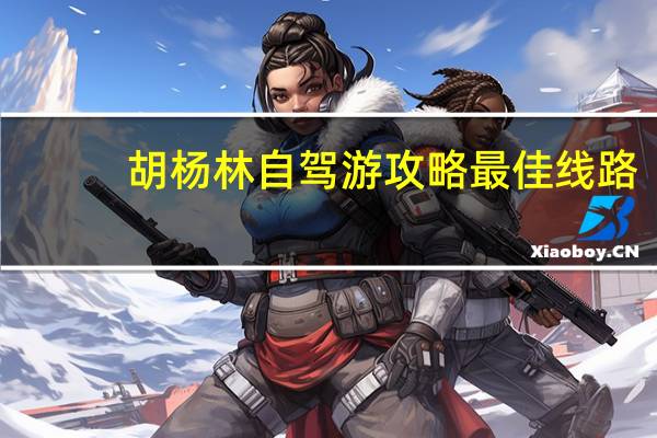 胡杨林自驾游攻略最佳线路