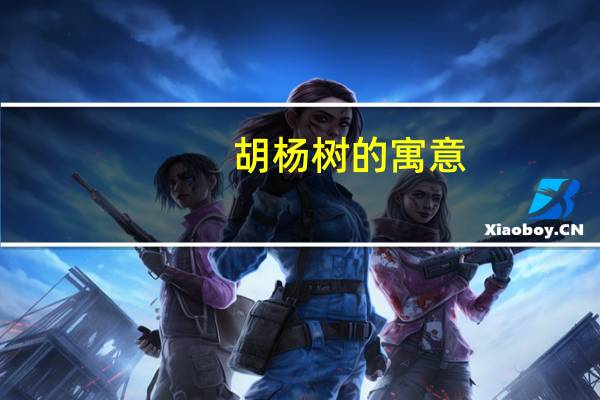 胡杨树的寓意