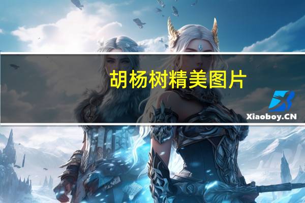 胡杨树精美图片（胡杨树）