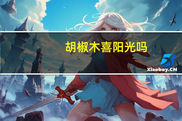 胡椒木喜阳光吗