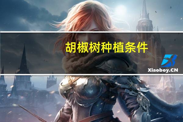 胡椒树种植条件
