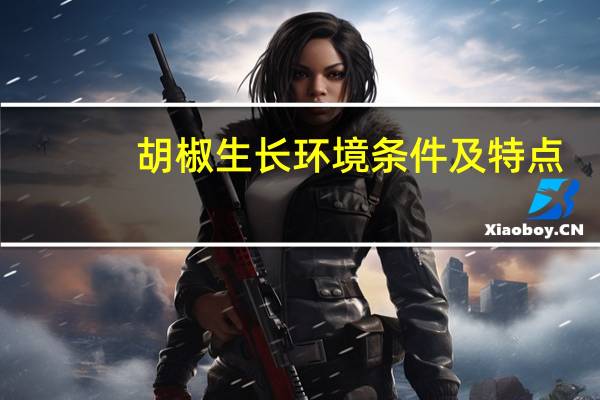 胡椒生长环境条件及特点