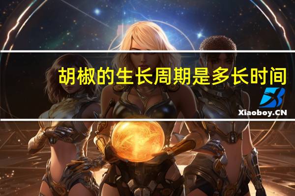 胡椒的生长周期是多长时间