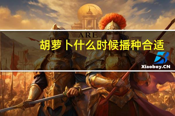 胡萝卜什么时候播种合适