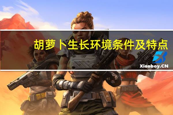 胡萝卜生长环境条件及特点