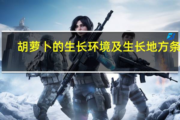 胡萝卜的生长环境及生长地方条件