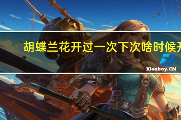 胡蝶兰花开过一次下次啥时候开