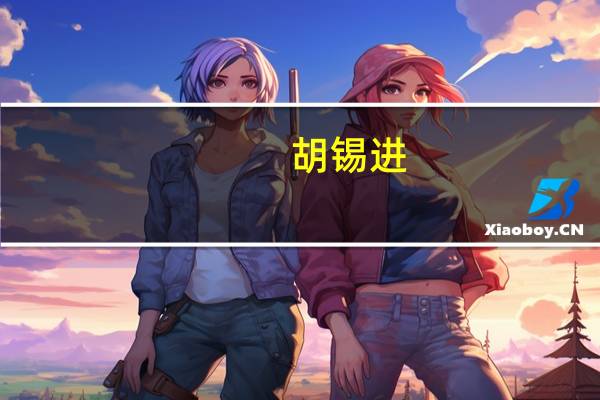 胡锡进：重温了这一年的大事记