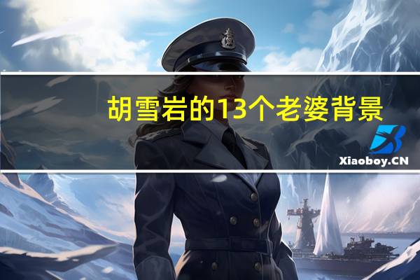 胡雪岩的13个老婆背景（胡雪岩）