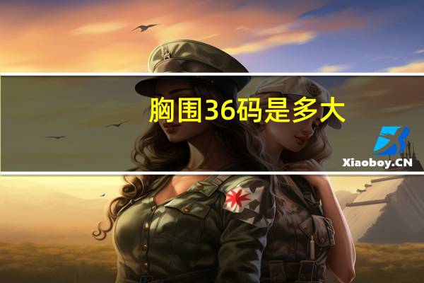 胸围36码是多大