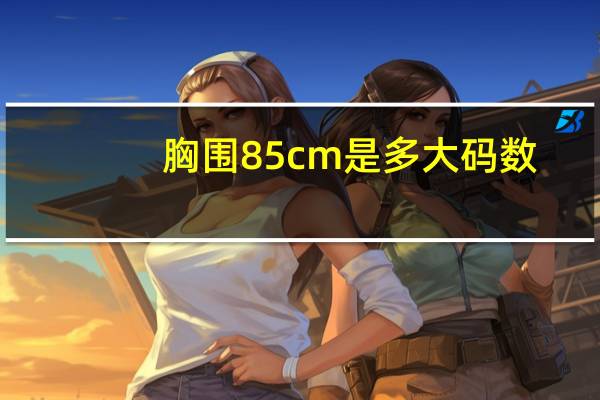胸围85cm是多大码数