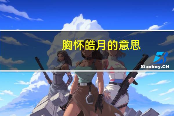 胸怀皓月的意思