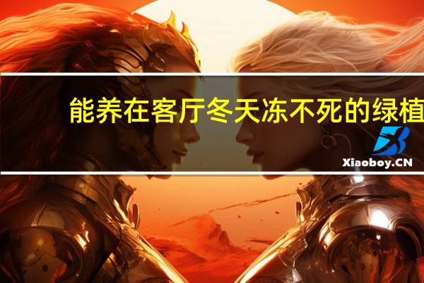 能养在客厅冬天冻不死的绿植