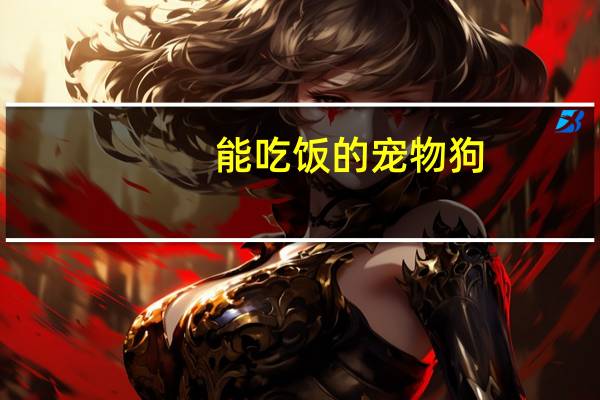能吃饭的宠物狗