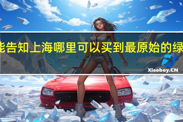 能告知上海哪里可以买到最原始的绿豆糕吗