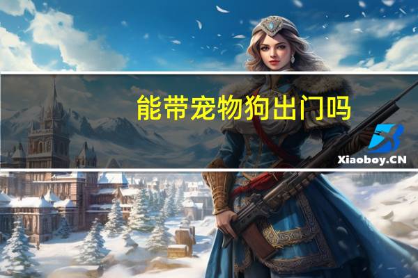 能带宠物狗出门吗