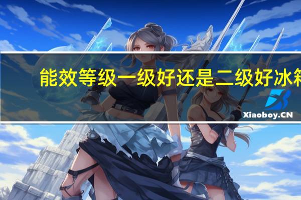 能效等级一级好还是二级好冰箱（能效等级一级好还是二级好）
