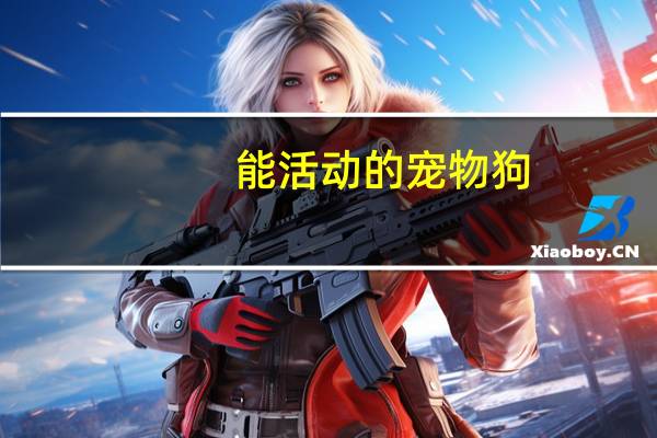 能活动的宠物狗