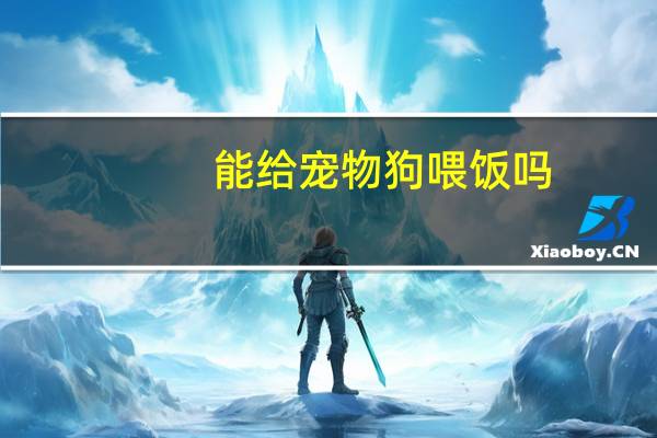 能给宠物狗喂饭吗