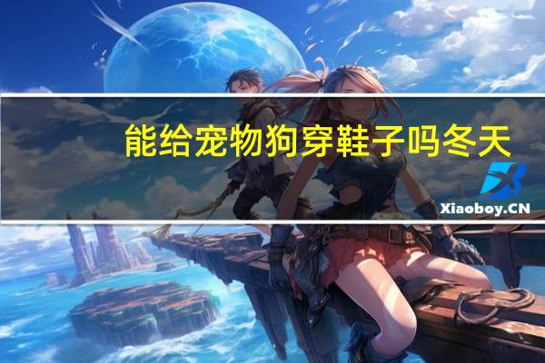 能给宠物狗穿鞋子吗冬天
