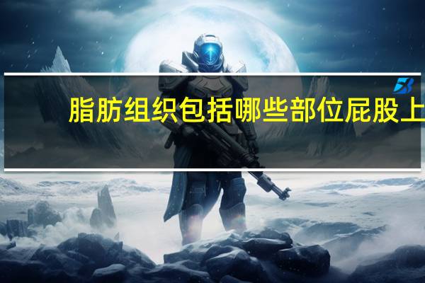 脂肪组织包括哪些部位 屁股上的肌肉有哪些