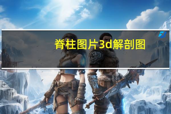 脊柱图片3d解剖图（脊柱解剖图）