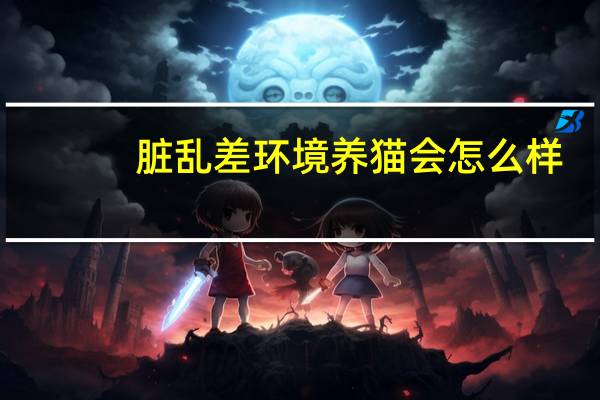 脏乱差环境养猫会怎么样