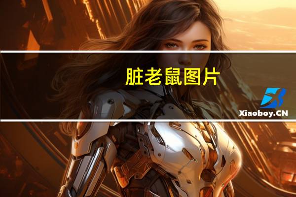 脏老鼠图片（脏鼠简介）