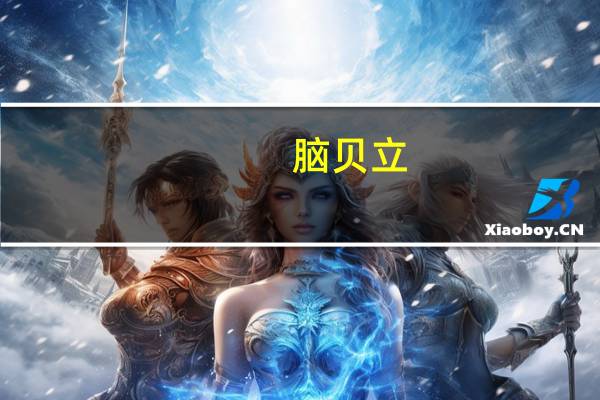 脑贝立：都说全脑教育开发是骗局