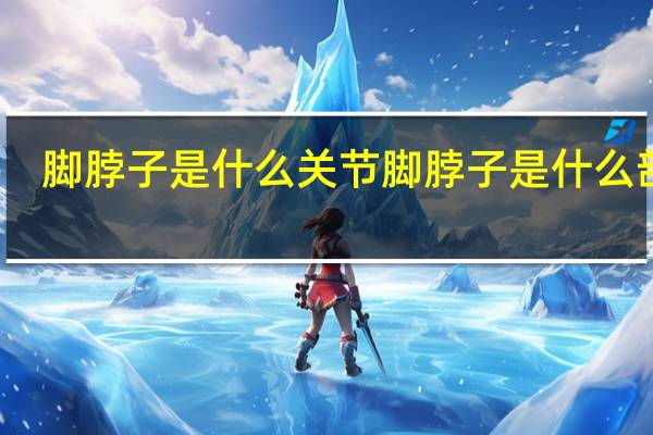 脚脖子是什么关节 脚脖子是什么部位
