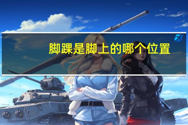 脚踝是脚上的哪个位置(脚踝是在脚的什么位置)