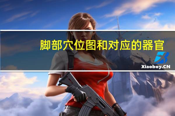 脚部穴位图和对应的器官