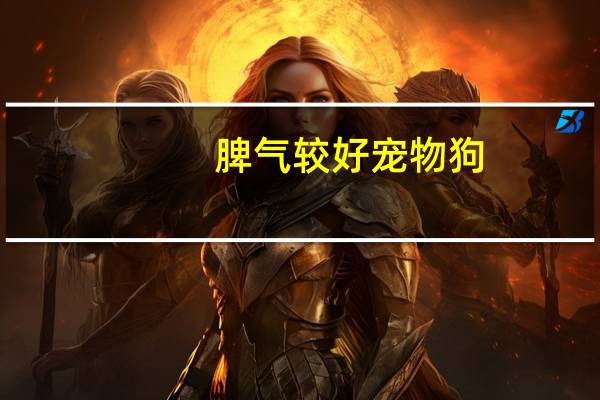 脾气较好宠物狗