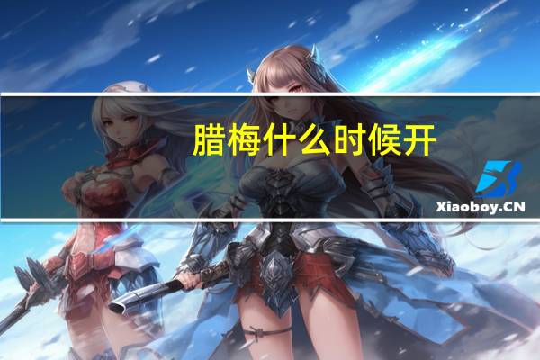 腊梅什么时候开