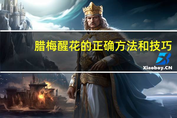 腊梅醒花的正确方法和技巧
