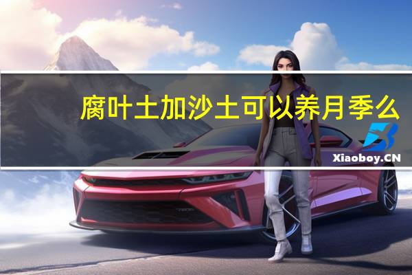 腐叶土加沙土可以养月季么