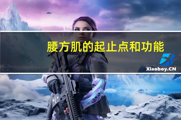 腰方肌的起止点和功能（中央差速器锁止功能有什么用）