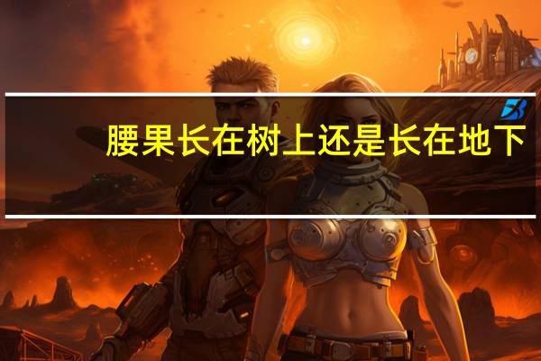 腰果长在树上还是长在地下