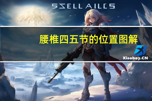 腰椎四五节的位置图解（腰椎四五节的位置）