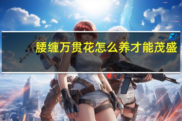 腰缠万贯花怎么养才能茂盛