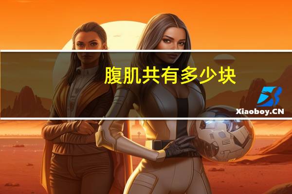 腹肌共有多少块