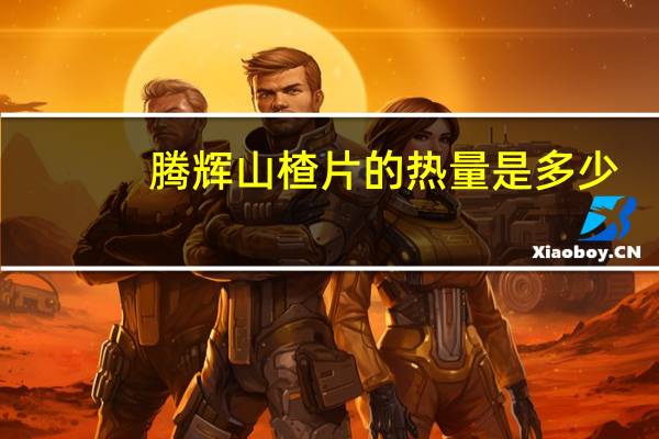 腾辉 山楂片的热量是多少