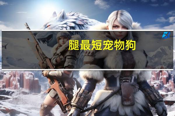 腿最短宠物狗