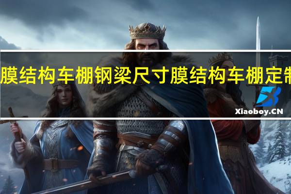 膜结构车棚钢梁尺寸 膜结构车棚定制厂家