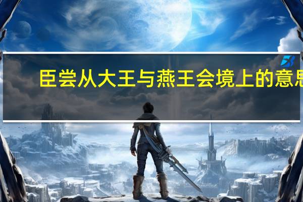 臣尝从大王与燕王会境上的意思