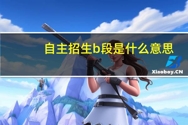 自主招生b段是什么意思